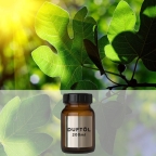 Fig Garden - 200 ml Aromaöl Raumduft für Zaluti und Voitair