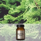 Hinoki Cypress - 200 ml Aromaöl Raumduft für Zaluti und Voitair
