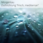MORGENTAU - Raumduft Aromaöl  