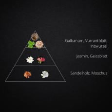 Cedar & Musk - Premium Duftöl  ist ein einladender Duft, der wohlige Gemütlichkeit und Natürlichkeit in sich vereint. 