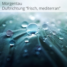 MORGENTAU - Raumduft Aromaöl  
