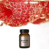 Champagne - 200 ml Aromaöl Raumduft für Zaluti und Voitair