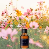 Sweet Summer Duftöl Aromaöl