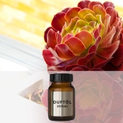 Velvet Beauty - 200 ml Aromaöl Raumduft für Zaluti und Voitair