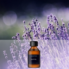 Lavender Provence - Premium Duftöl duftet wie bei einem Spaziergang durch die Lavendelfelder der Provence