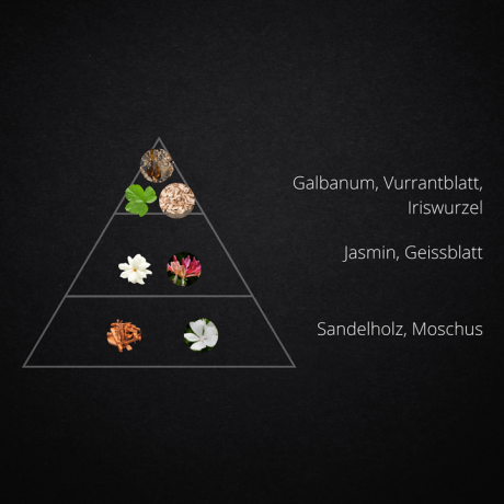 Cedar & Musk - Premium Duftöl  ist ein einladender Duft, der wohlige Gemütlichkeit und Natürlichkeit in sich vereint. 